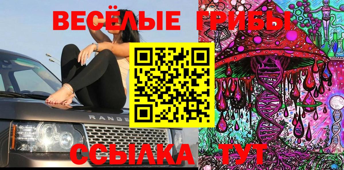 Псилоцибиновые грибы мухоморы  Галлюциногенные грибы MAGIC MUSHROOMS  Ишим  Вход с VPN 